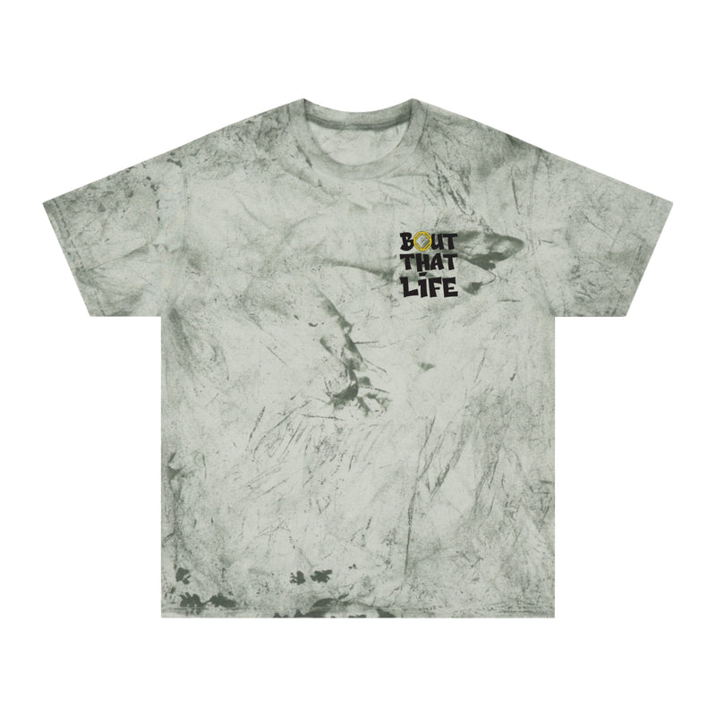 Load image into Gallery viewer, A Second Chance at a First Class Life Unisex Comfort Colors Color Blast T-Shirt
